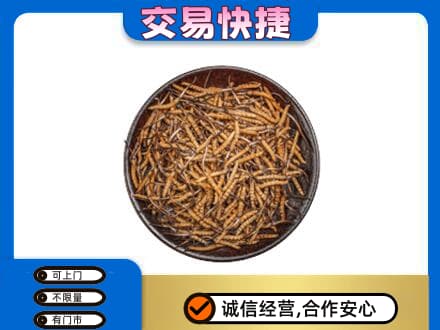鸡西市鸡东回收散虫草