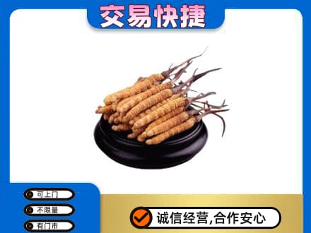 鸡西市鸡东礼品回收散虫草.jpg